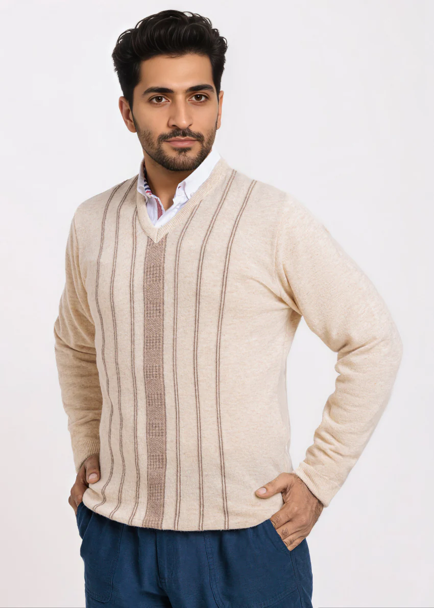 Swan-V-Neck Full Sleeves Sweater (507-14)