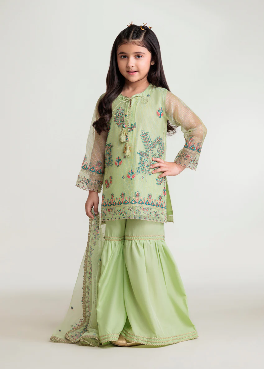 T-Green-Fancy-Zari-3 Piece (GP3PSLW25GI9O6) - Image 4