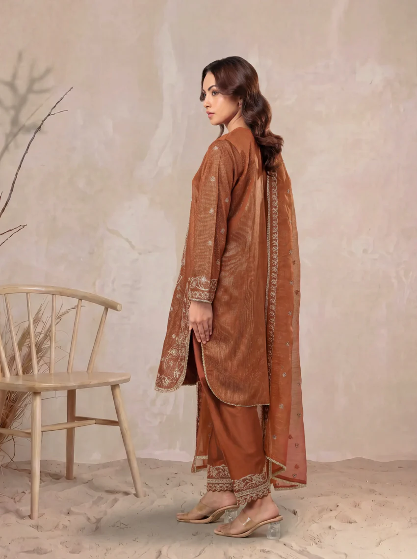 Rust-Fancy-Zari-3 Piece (WP3PSLW25L11D6) - Image 2