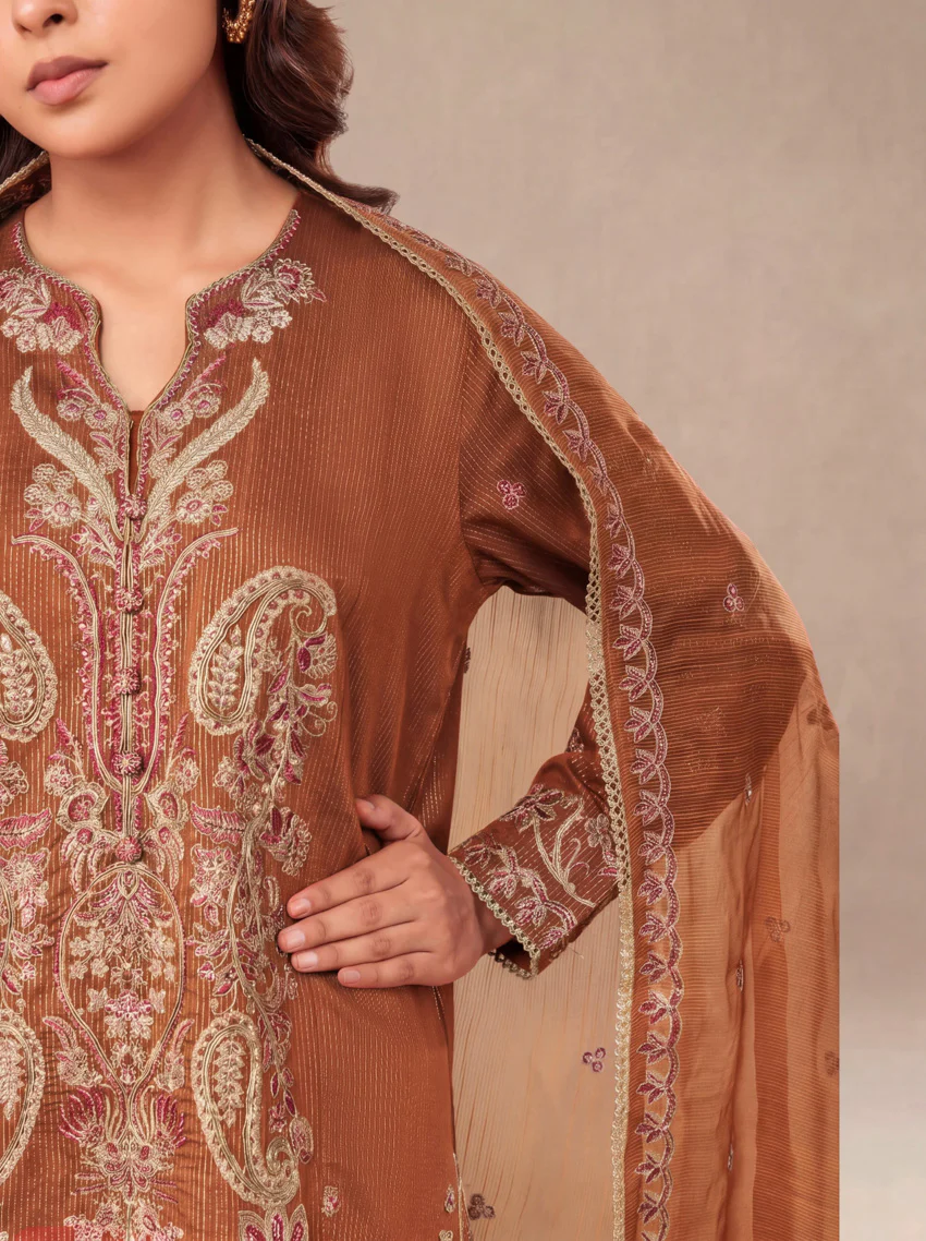 Rust-Fancy-Zari-3 Piece (WP3PSLW25L11D6) - Image 6